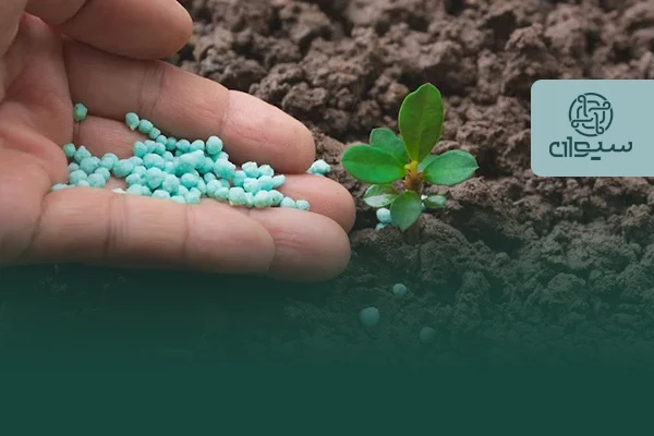 بهترین راهکار علمی برای شوری خاک در کشاورزی