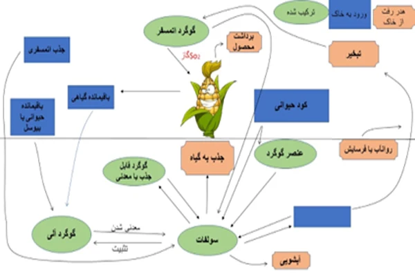 نقش گوگرد مایع سیوان در رشد گیاهان