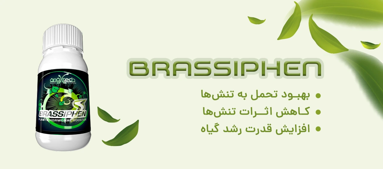 کود مایع براسیفن شرکت سیوان مناسب برای بهبود تحمل به تنش ها، کاهش اثرات تنش ها و افزایش قدرت رشد گیاه