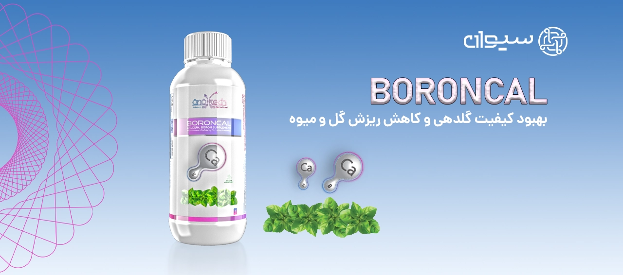 کود مایع بورون کال شرکت سیوان تجارت کامکار مناسب برای بهبود کیفیت گلدهی و کاهش ریزش گل و میوه