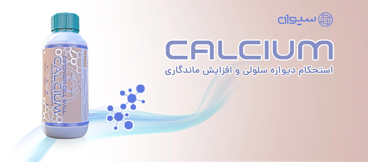 کود کلسیم مایع شرکت سیوان مناسب برای استحکام دیواره سلولی، افزایش ماندگاری و بازار پسندی
