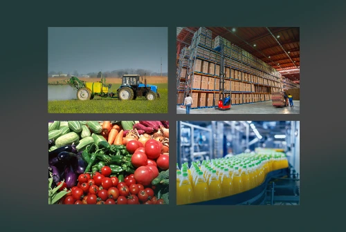 سرمایه گذاری در سیوان تجارت کامکار