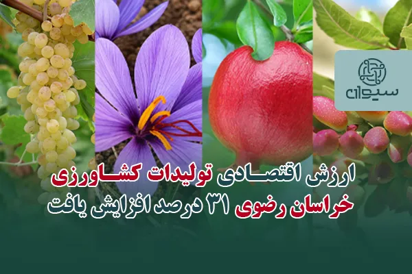 ارزش اقتصادی کشاورزی خراسان رضوی افزایش یافت