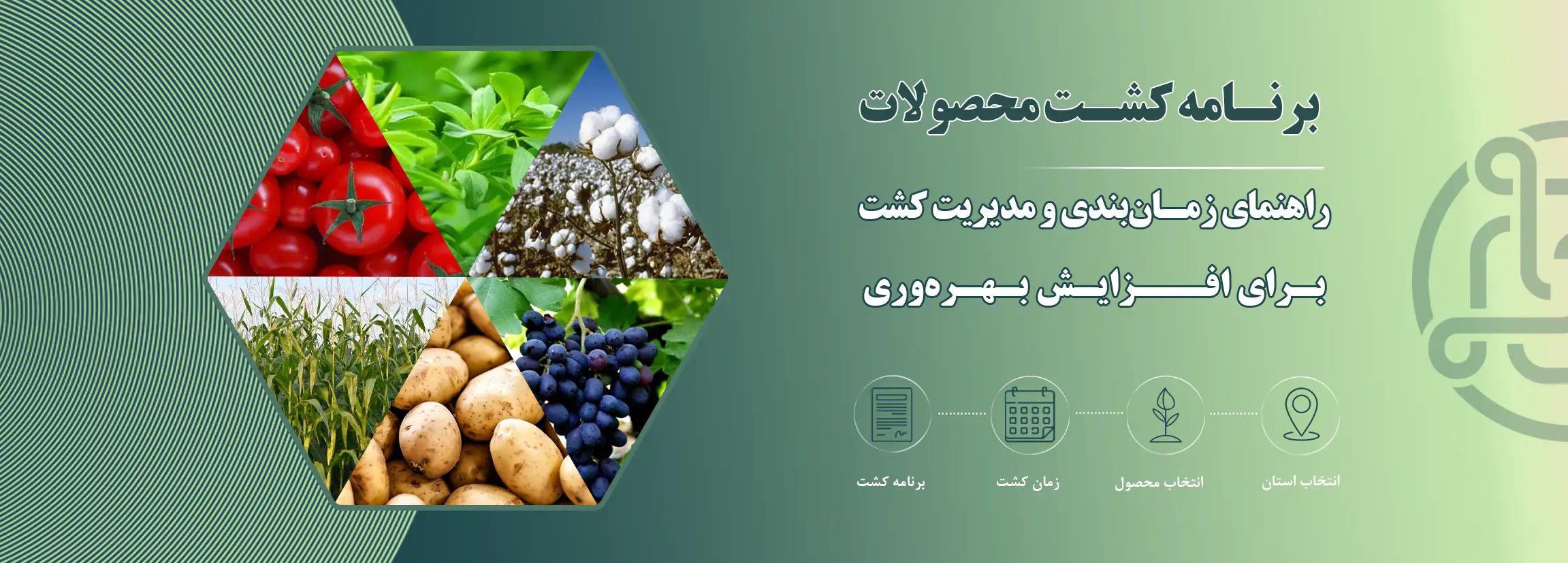 اسلایدر برنامه کشت سیوان تجارت - تامین کننده نهاد های کودی در ایران