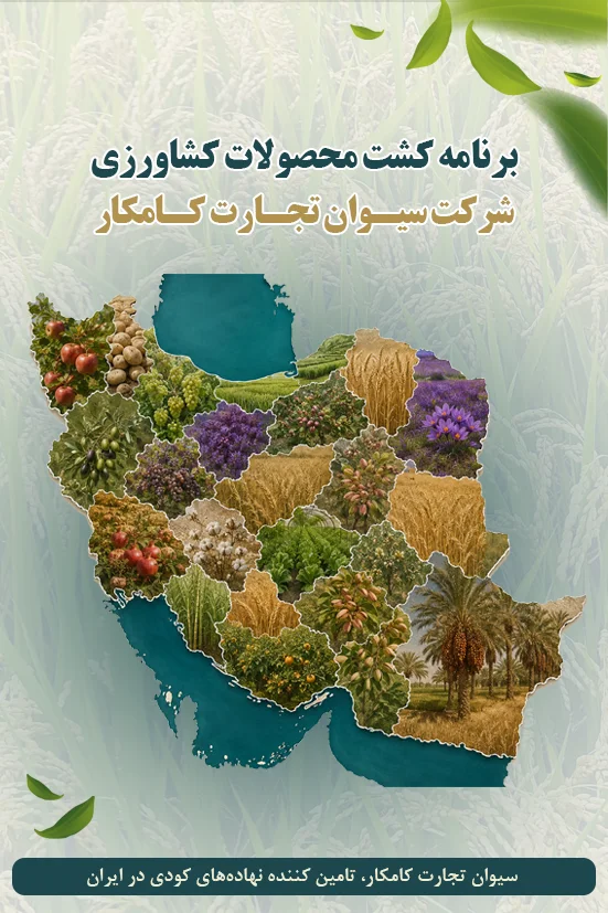 برنامه کشت محصولات کشاورزی شرکت سیوان تجارت کامکار