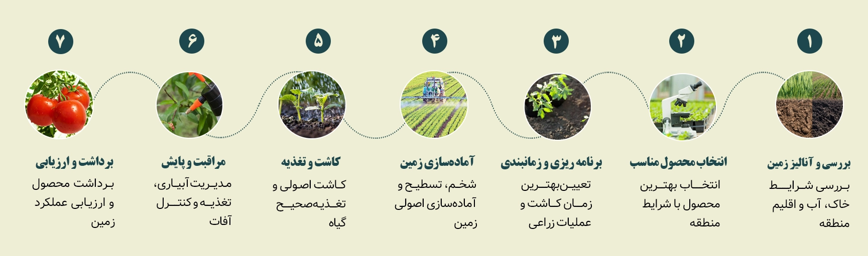 مراحل برنامه کشت، از آنالیز و بررسی زمین تا برداشت و ارزیابی